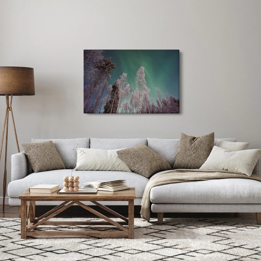 Tablou cu aurora borealis deasupra pomilor înghețați (90x60 cm)
