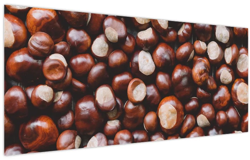 Tablou - Castane coapte (120x50 cm)