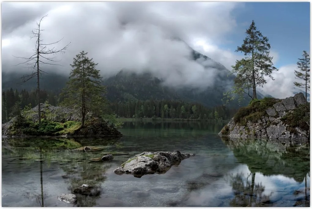 Tablou cu pomi în lac (90x60 cm)