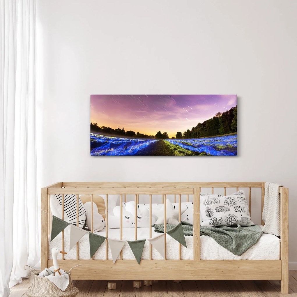 Tablou cu câmp colorat (120x50 cm)