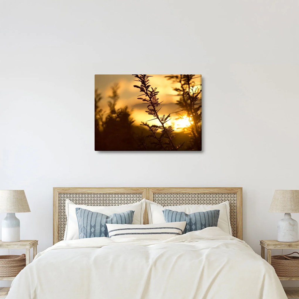 Tablou - Apus de soare (70x50 cm)
