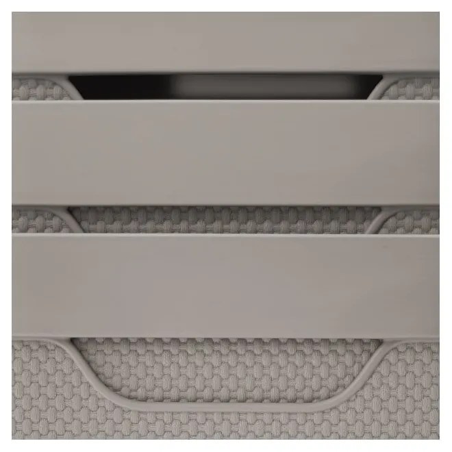 Cutie de depozitare din plastic cu capac Deco - Rotho