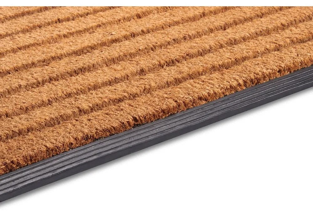 Covoraș de intrare din fibre de nucă de cocos 45x75 cm Striped – Hanse Home