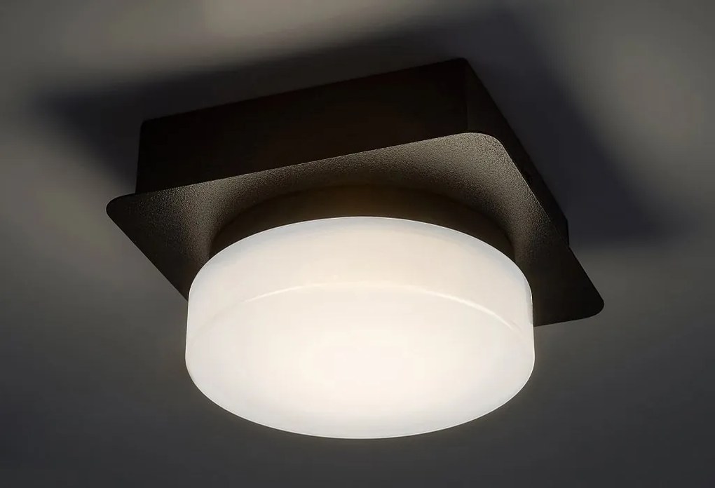 Plafoniera LED pentru baie design modern IP44 Attichus negru, alb
