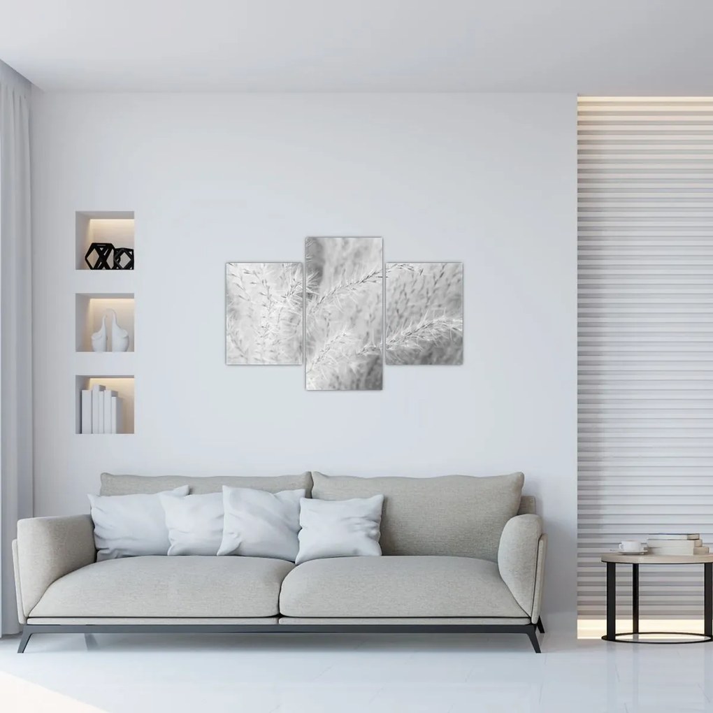 Tablou - Iarbă de pampas N⁰1 (90x60 cm)