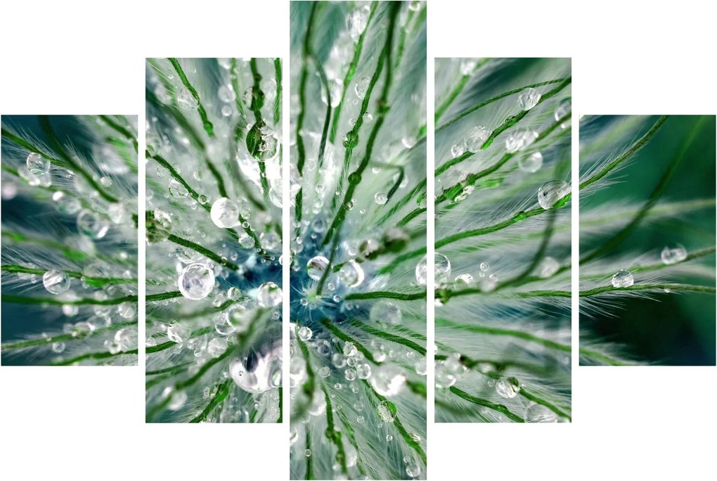 Tablou - Imagine macro a unei flori (150x105 cm)