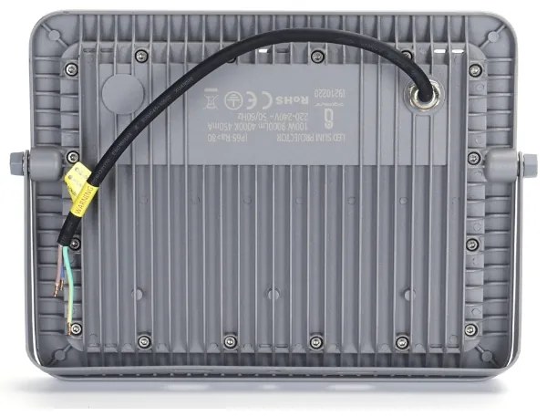 Proiector LED Aigostar LED/100W/230V gri 4000K IP65