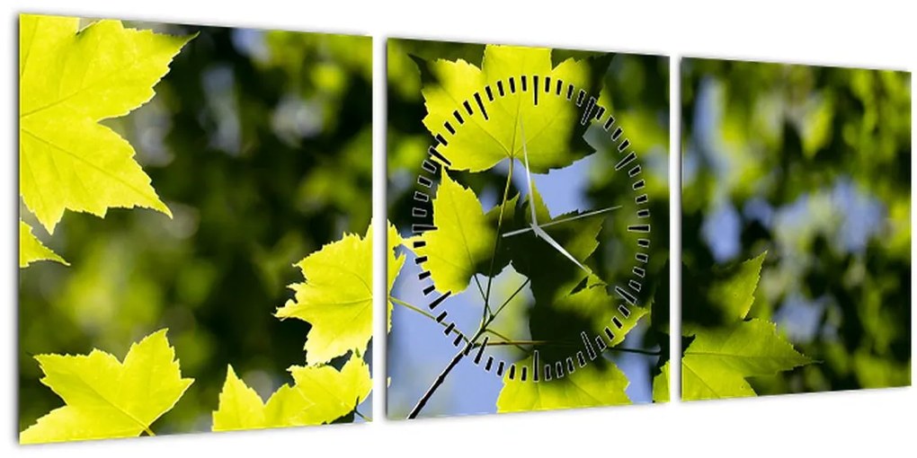 Tablou - frunze de arțar (cu ceas) (90x30 cm)