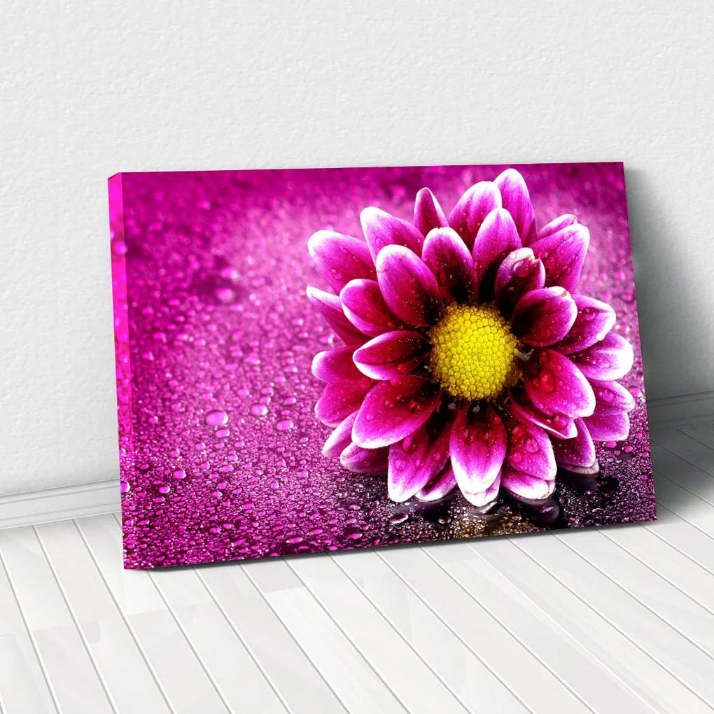 Tablou Canvas - Purple flower 40 x 65 cm
