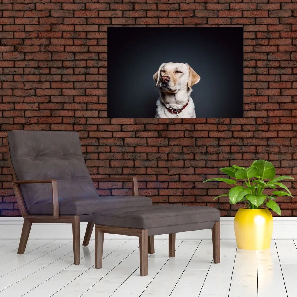 Tablou cu labrador (90x60 cm)