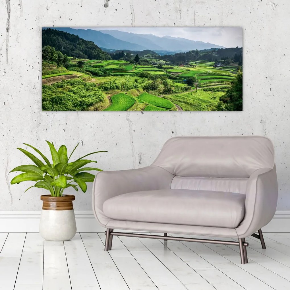 Tablou cu câmp de orez (120x50 cm)