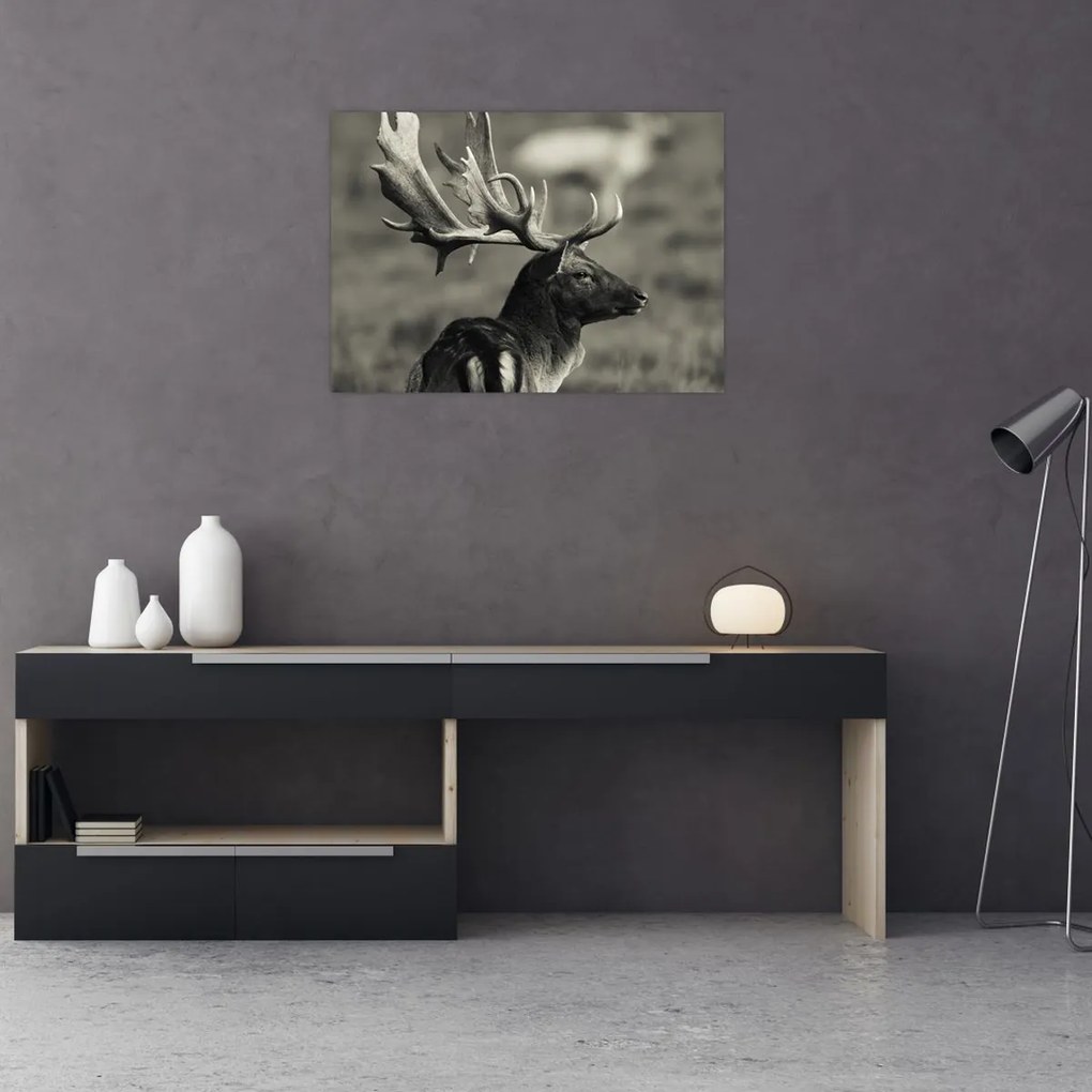 Tablou - Cerb (70x50 cm)