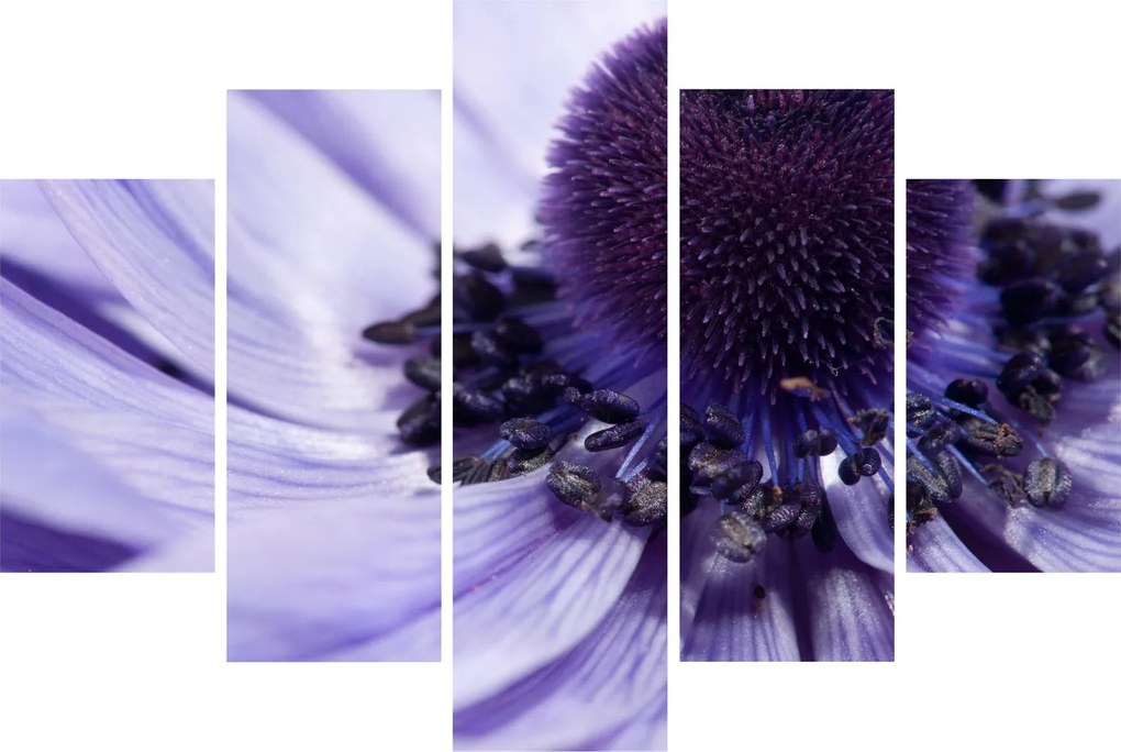 Tablou - Floare mov (150x105 cm)