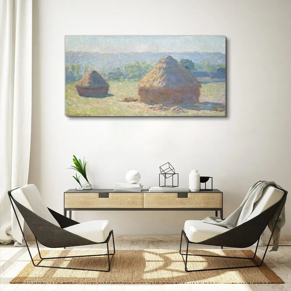 Tablou canvas Monede de fân de la sfârșitul verii