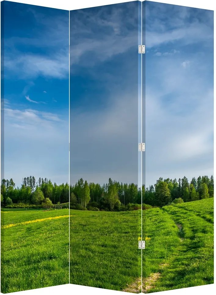 Paravan - Luncă (126x170 cm)