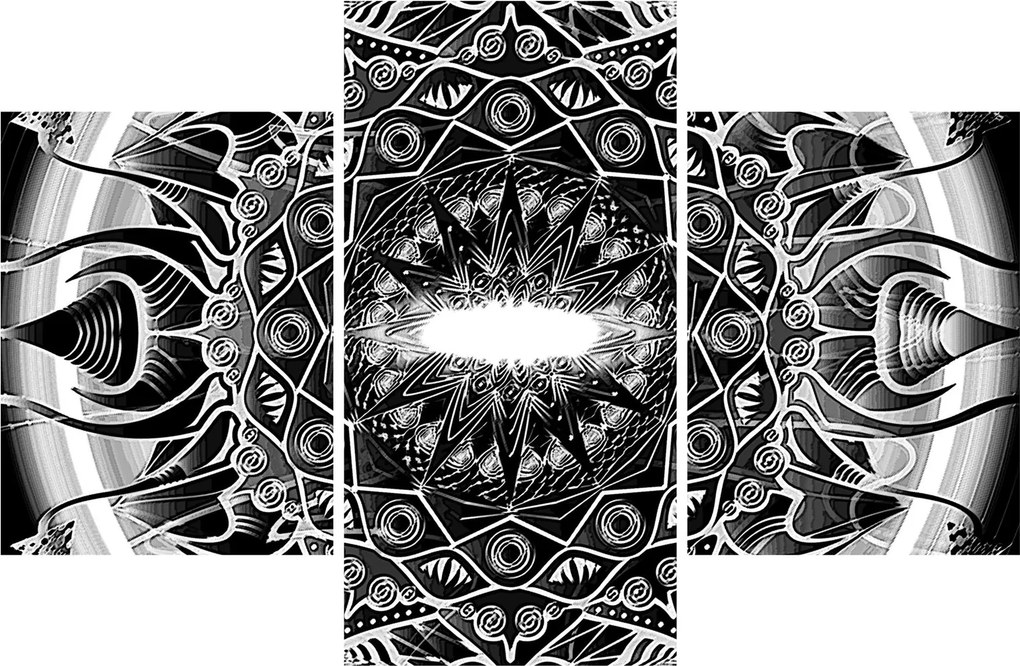 Tablou cu ornamente alb negre (90x60 cm)