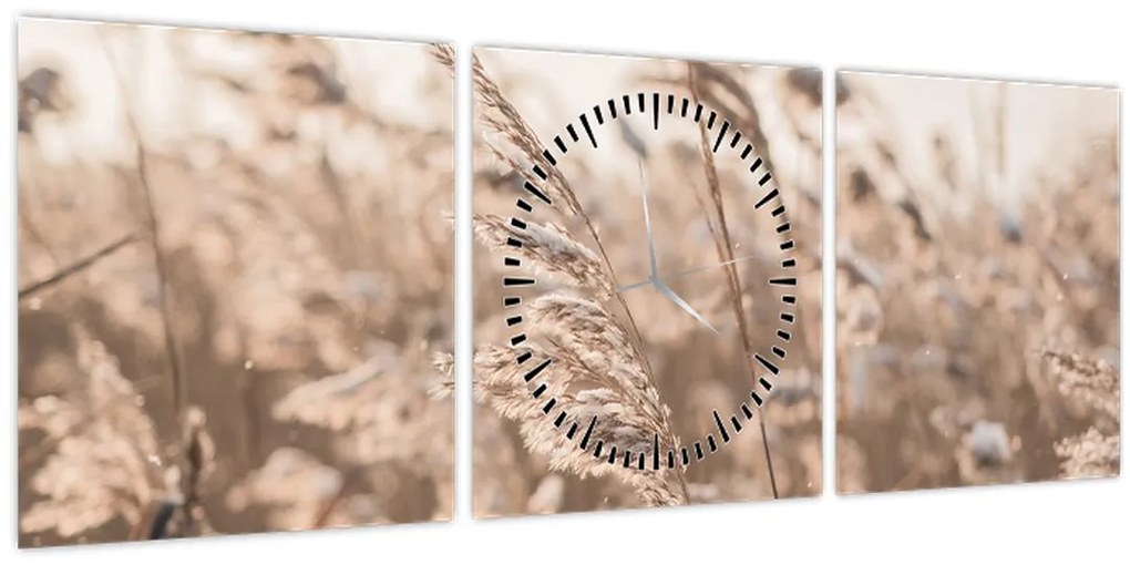 Tablou - Adiere de luncă (cu ceas) (90x30 cm)