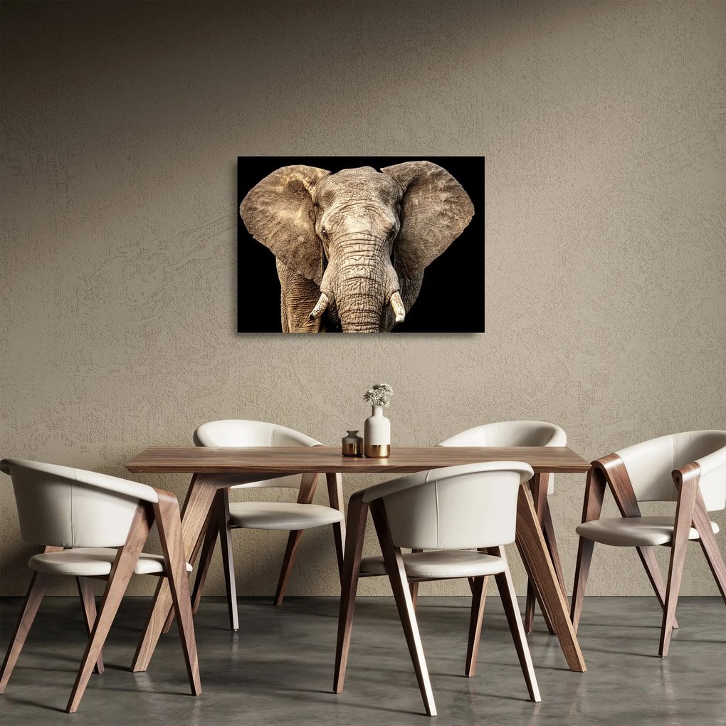 Tablou pe sticlă - Elefant african (70x50 cm)