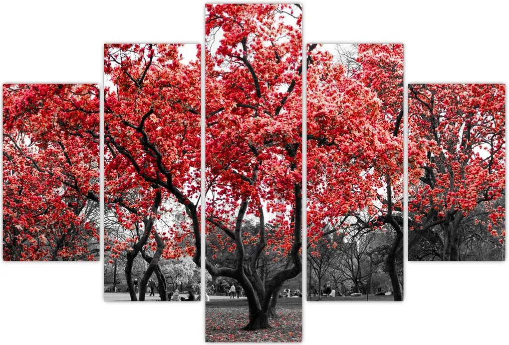 Tablou - Copacii roșii, Central Park, New York (150x105 cm)