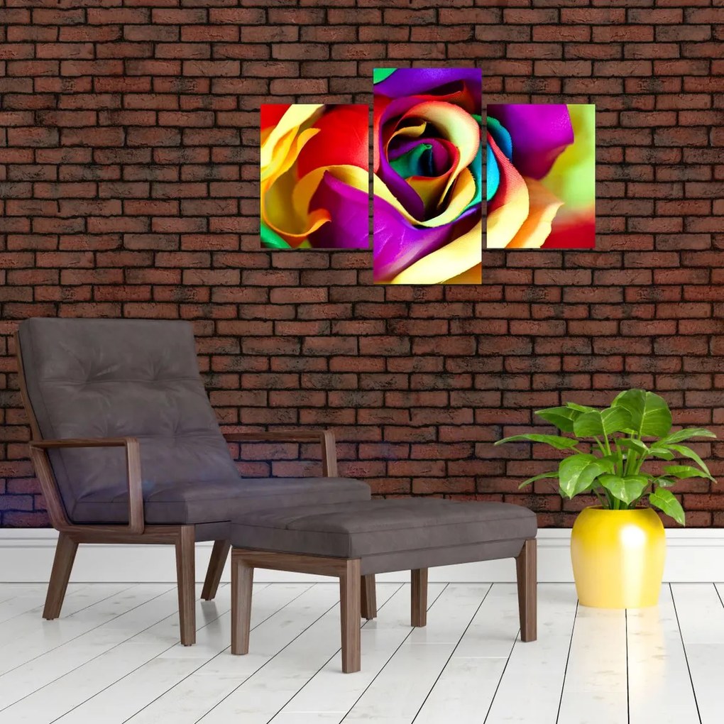 Tablou - Trandafir colorat (90x60 cm)