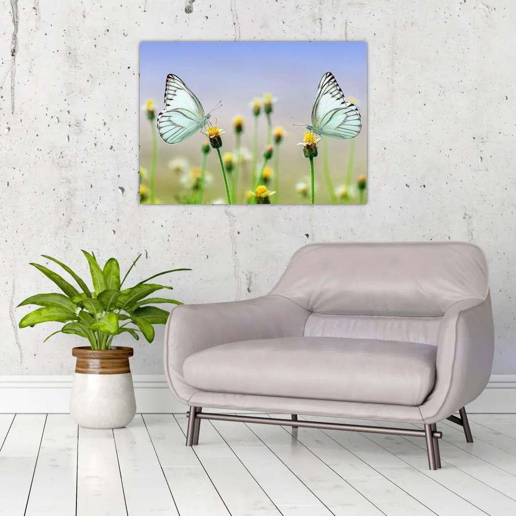 Tablou cu fluture pe floare (70x50 cm)