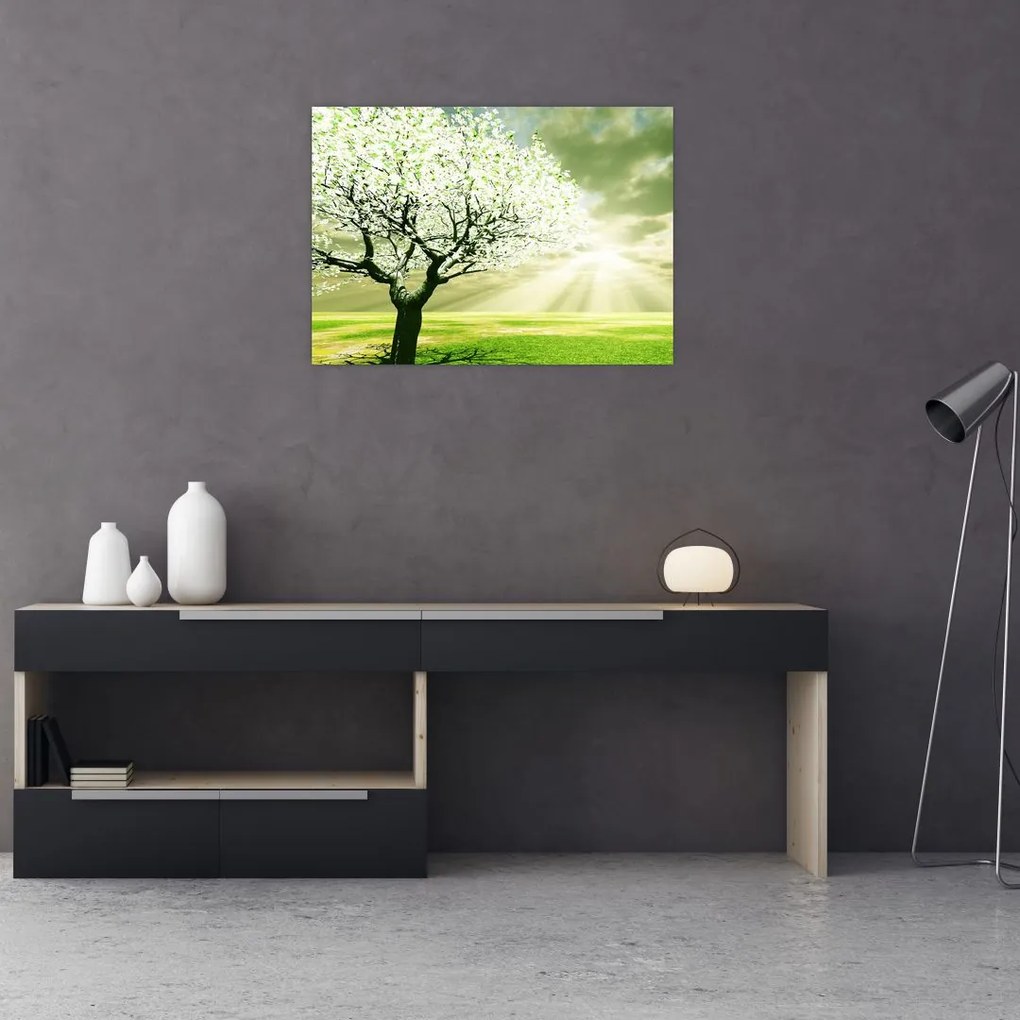 Tablou cu copaci pe luncă (70x50 cm)