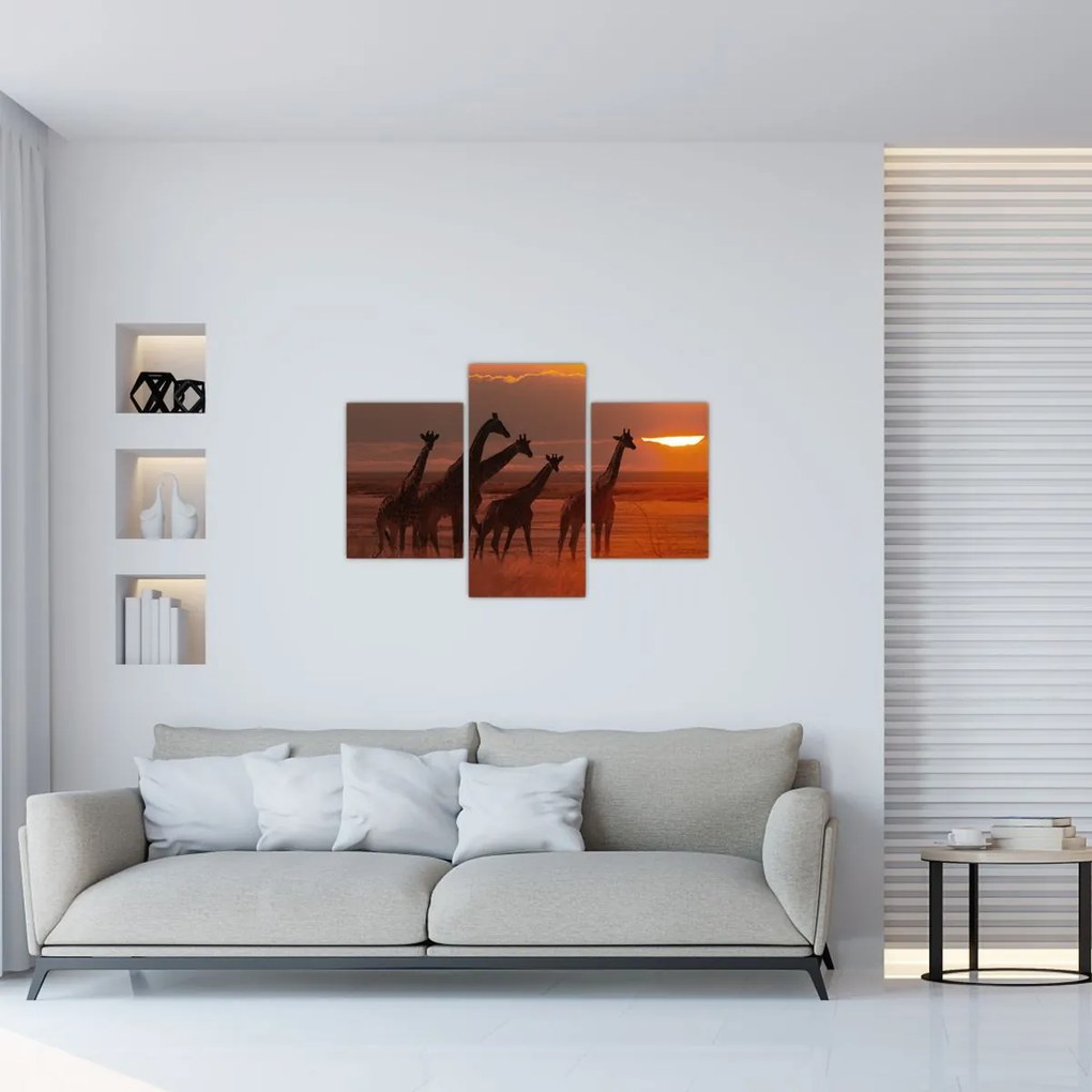Tablou - Girafe în savana africană (90x60 cm)
