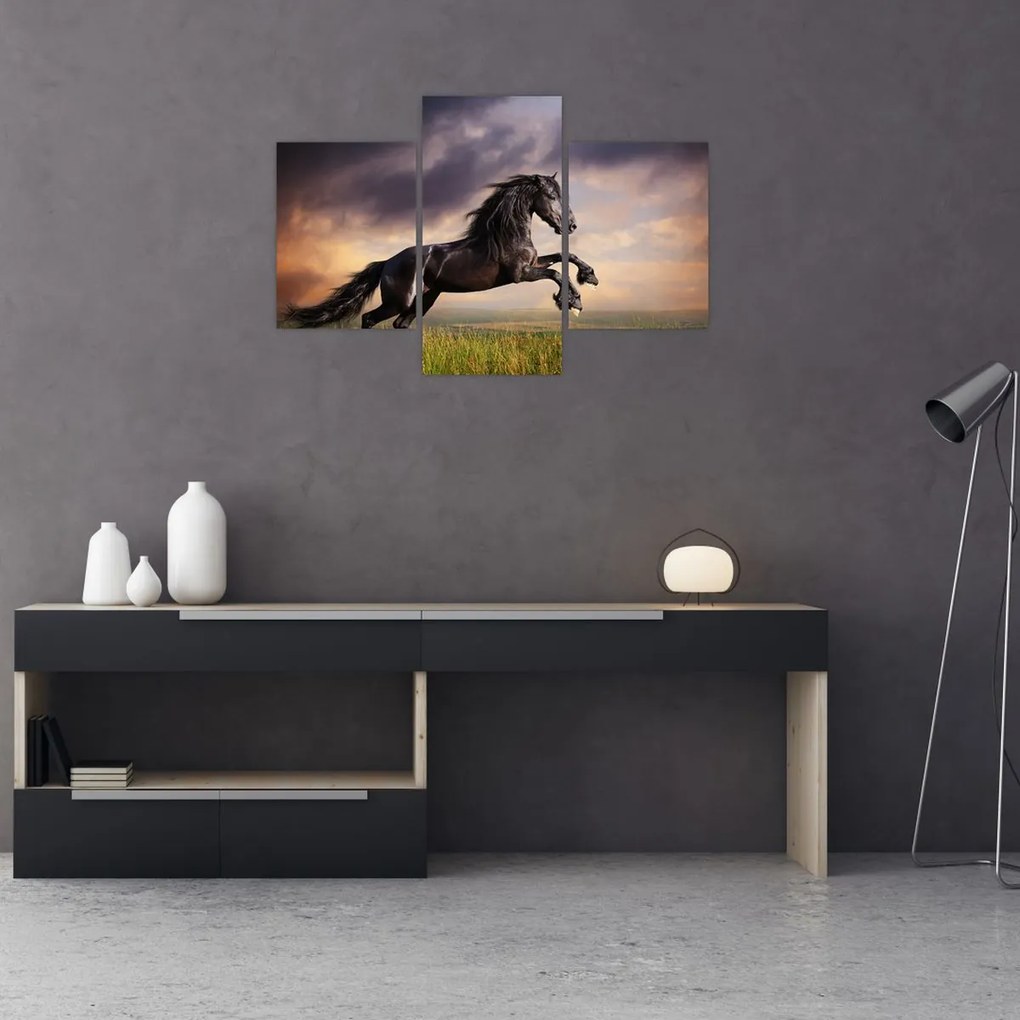 Tablou - Cai (90x60 cm)