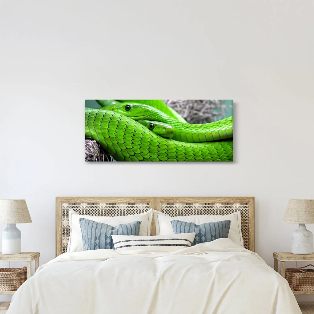 Tablou cu șerpi verzi (120x50 cm)