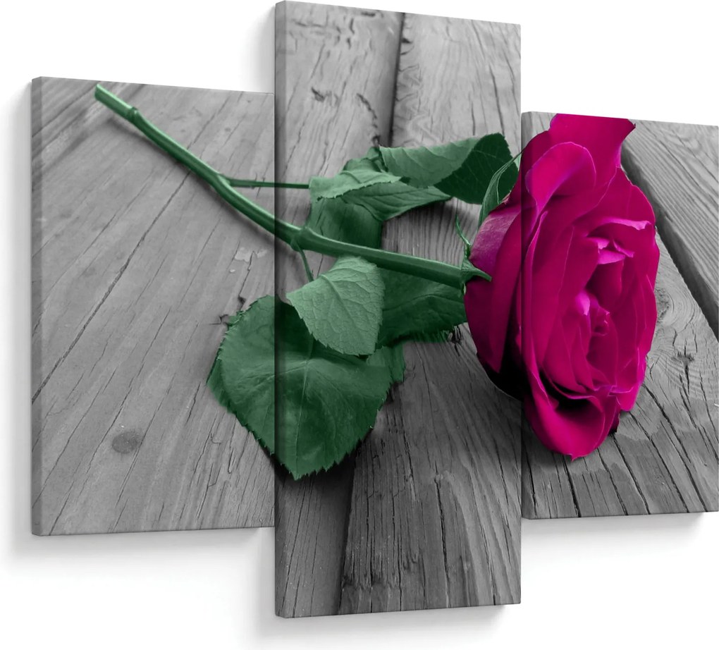 Tablou - Trandafir roz cu tulpina verde (90x60 cm)