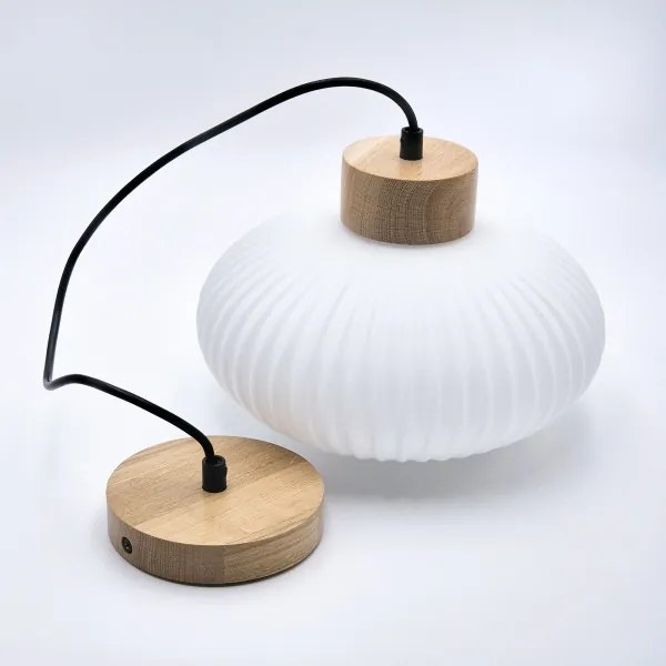 Lustră pe cablu HARMONY 1xE27/15W/230V d. 25 cm alb/stejar