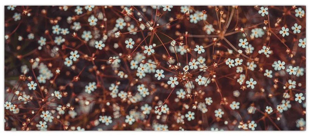 Tablou cu floare de nu mă uita (120x50 cm)