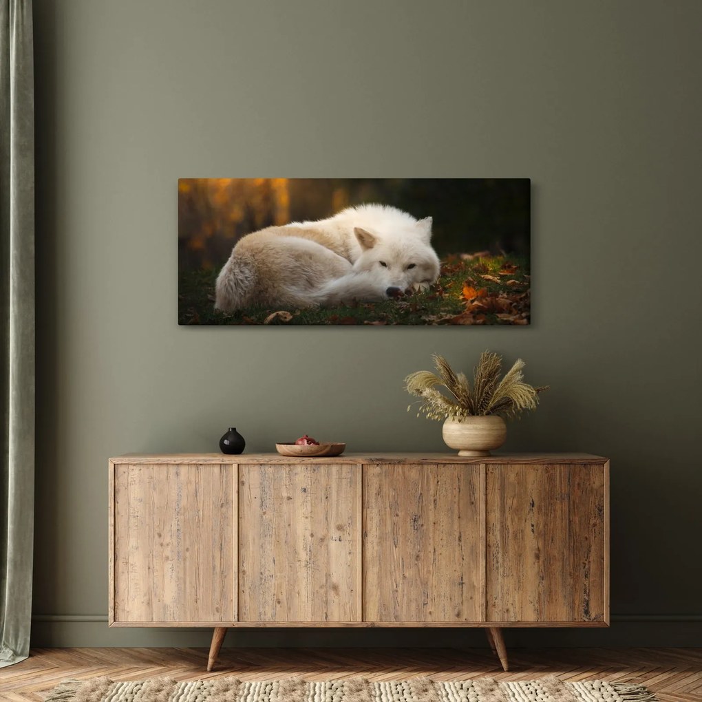 Tablou - Lupul care se odihnește (120x50 cm)