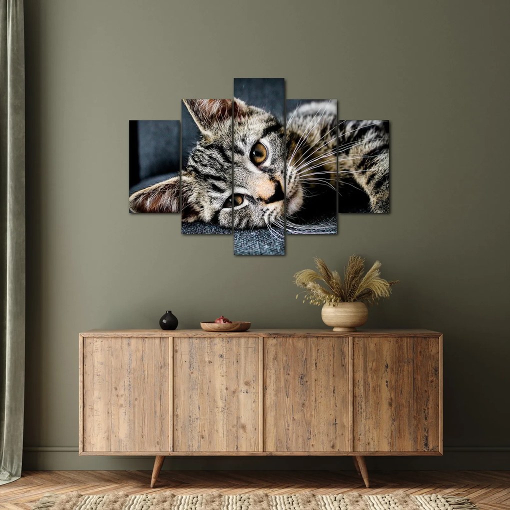 Tablou - Pisoi (150x105 cm)