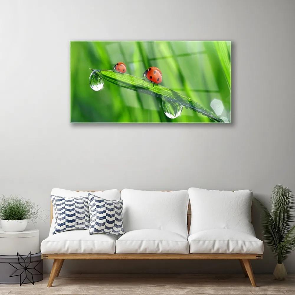 Tablouri acrilice Ladybird Beetle Floral Verde Roșu Negru