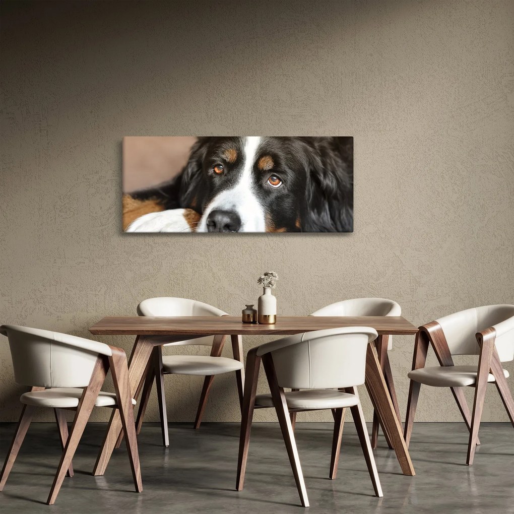 Tablou cu câine (120x50 cm)