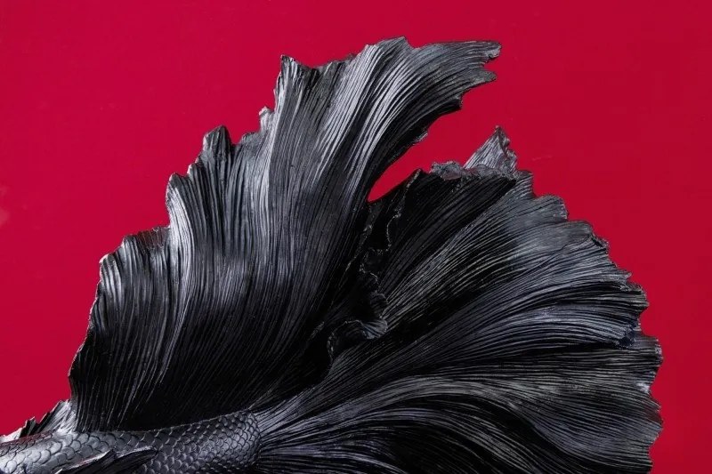 Statueta decorativa extravaganta Fisch Crowntail 65cm, negru