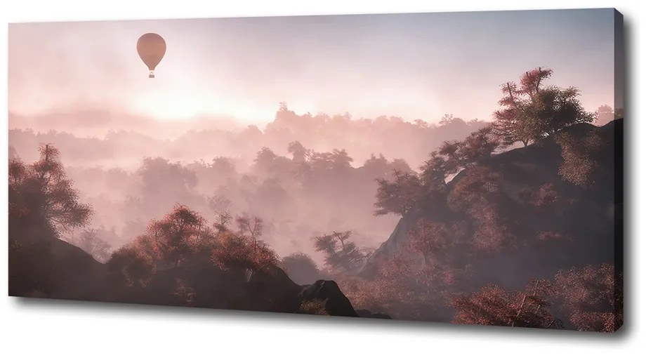 Tablou pe pânză canvas Balonul deasupra pădurii