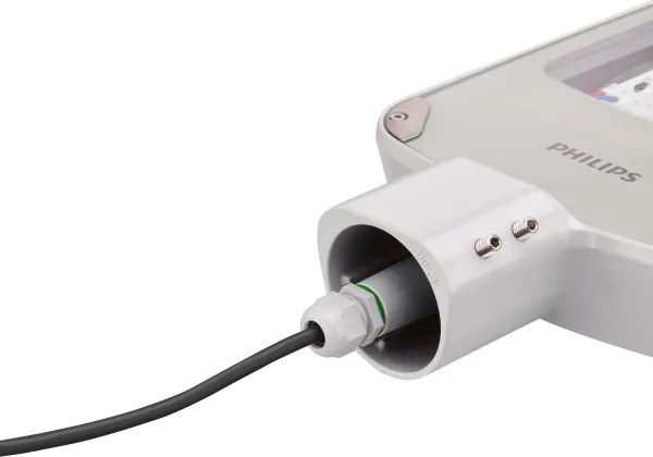 Philips - Lampă stradală LED CORELINE MALAGA LED/37W/230V 3000K IP65