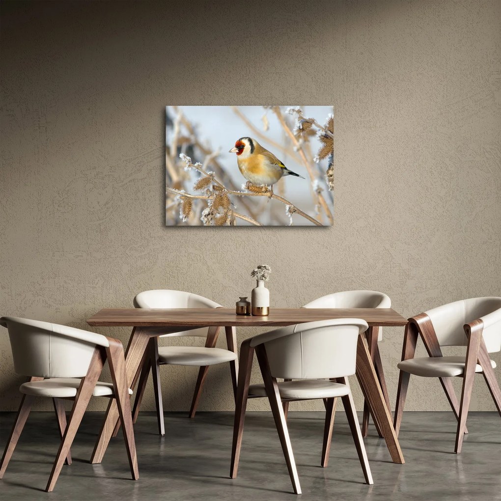 Tablou - Ciredeaua (70x50 cm)