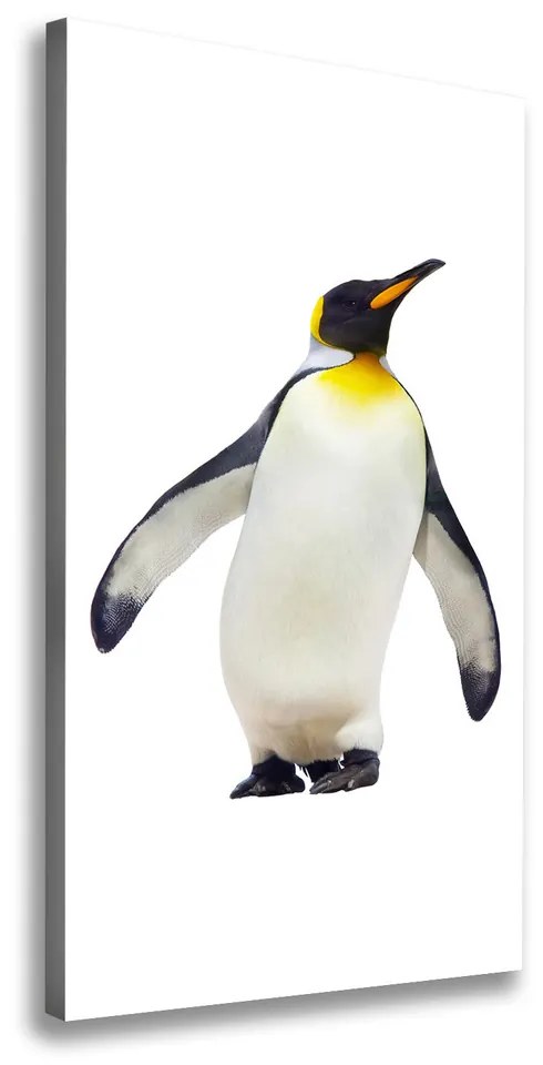 Print pe pânză Pinguin