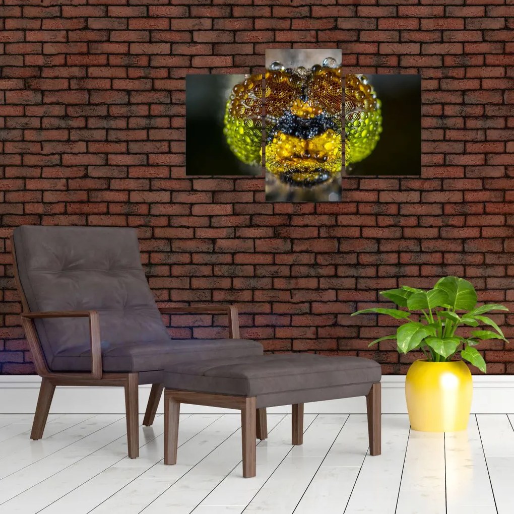 Tablou detailat cu ochii de omidă (90x60 cm)