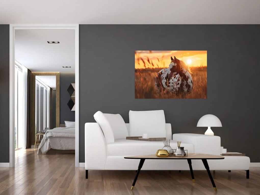 Tablou - Cal la Apus (90x60 cm)