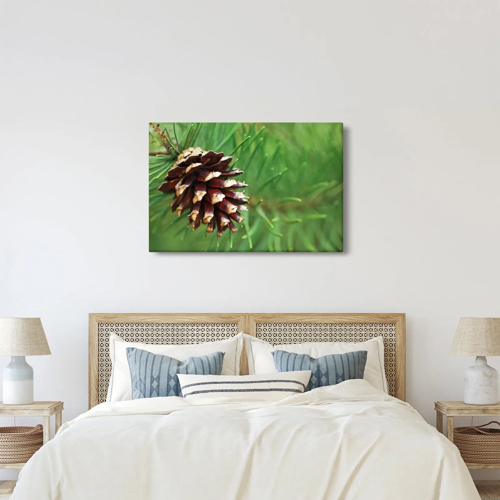 Tablou cu con (90x60 cm)