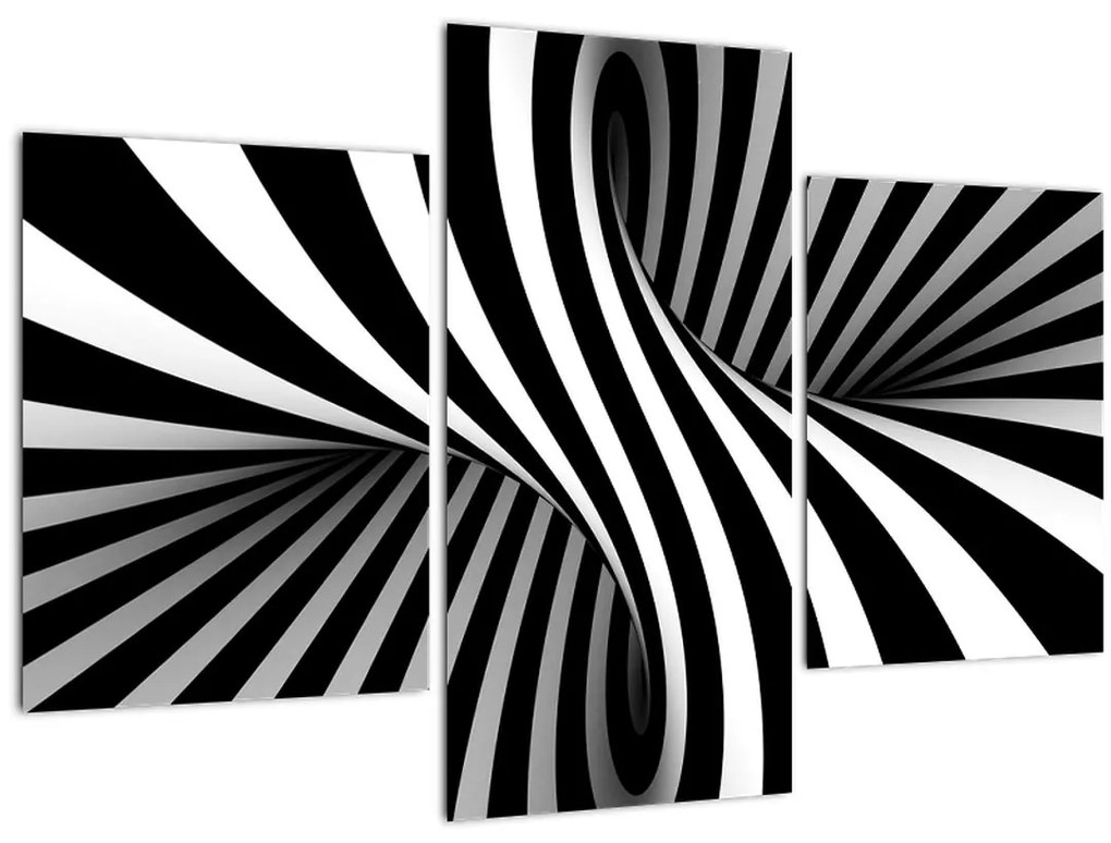 Tablou abstract cu dungi de zebră (90x60 cm)