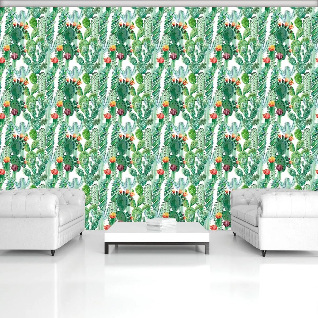 Fototapet - cactus (254x184 cm)