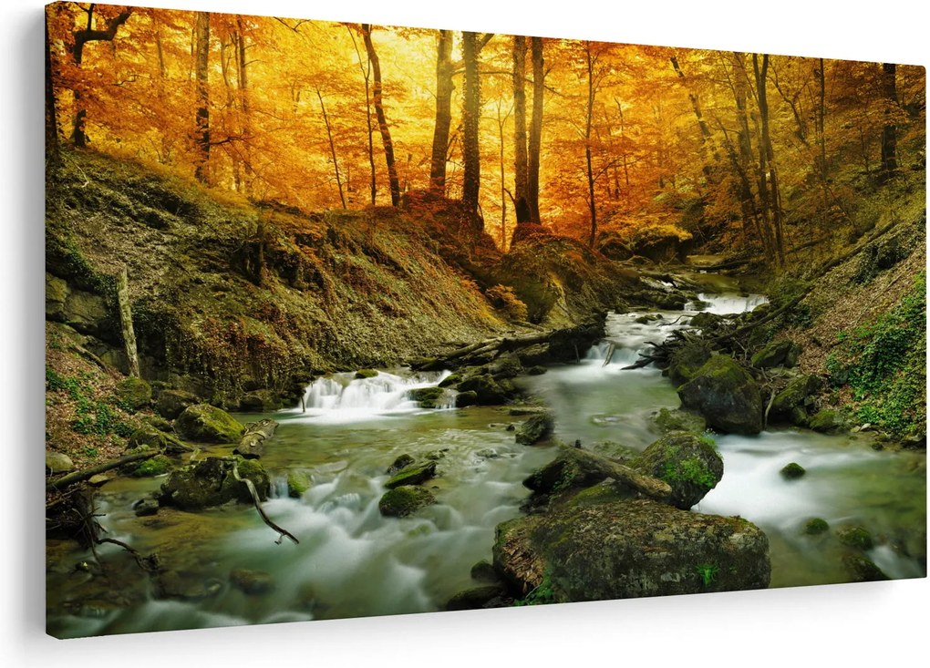 Tablou - Pădure (90x60 cm)