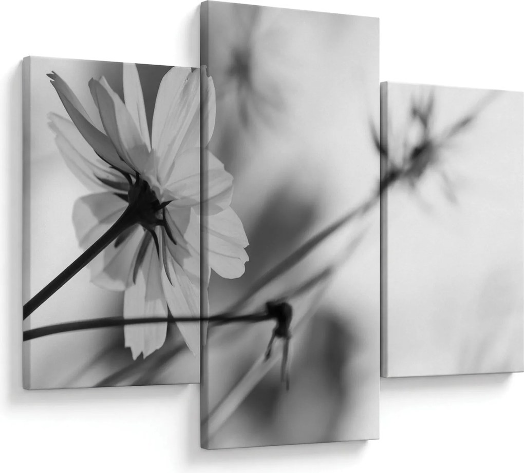 Tablou - Flori alb-negru (90x60 cm)
