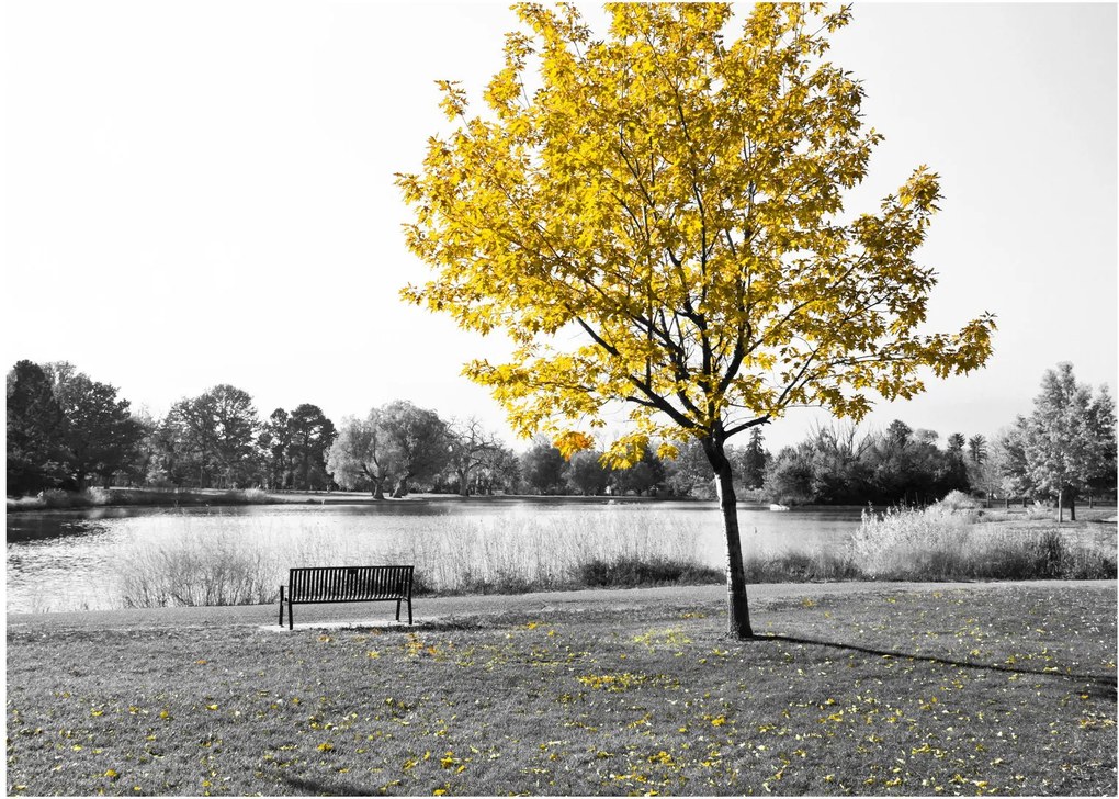 Tablou pe sticlă - relaxare în parc (70x50 cm)