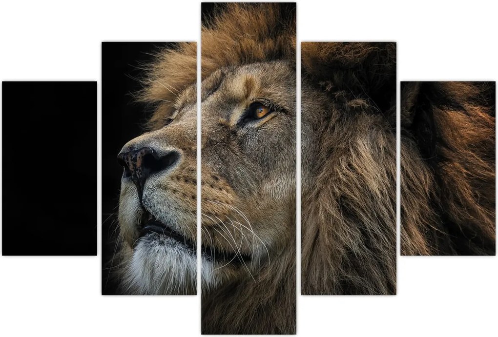 Tablou - Leul maiestuos (150x105 cm)